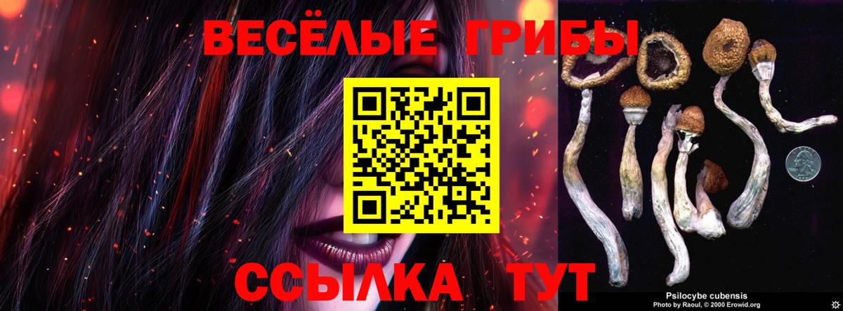 Псилоцибиновые грибы Cubensis  Вход с VPN  Курчатов 