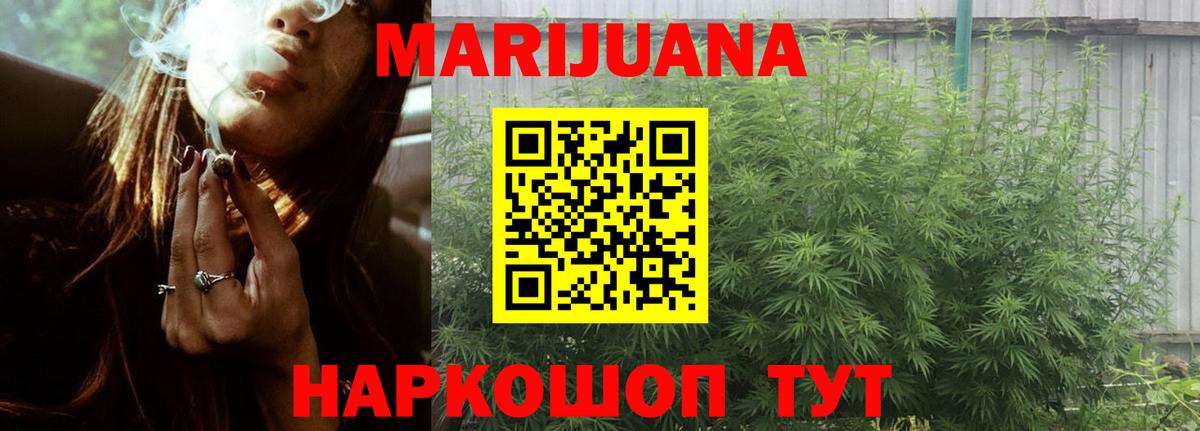 Бошки Шишки план Курчатов